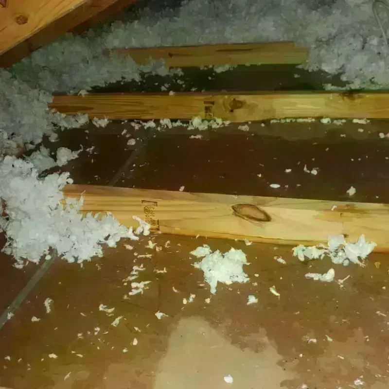 Attic Water Damage in Plymouth, NC