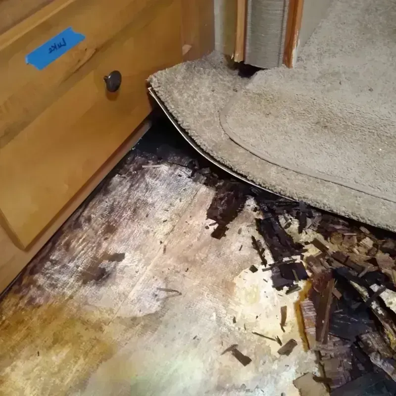 Wood Floor Water Damage in Plymouth, NC